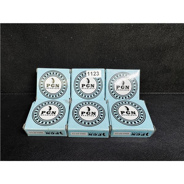6 PGN 6203 Series Bearings - New