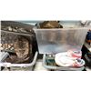 Image 3 : SHELF OF MENS & WOMENS SHOES IN VARIOUS SIZES