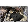 Image 4 : SHELF OF MENS & WOMENS SHOES IN VARIOUS SIZES, ASSORTED CLOTHING, HATS & MORE