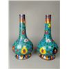 Image 1 : A Pair of Cloisonné Floral Bottles