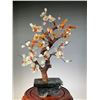 Image 1 : Jade Plum Blossom Bonsai