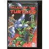 Image 1 : Tales of the Teenage Mutant Ninja Turtles #3 (Mirage Studios, Oct 1987)