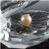 Image 4 : Swarovski Crystal Figurine, Oyster Shell with Pearl