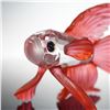 Image 4 : Swarovski Crystal Figurine, Siamese Fighting Fish Red