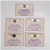 Image 1 : 5pc Delta Junior Stewardess Wings Badges