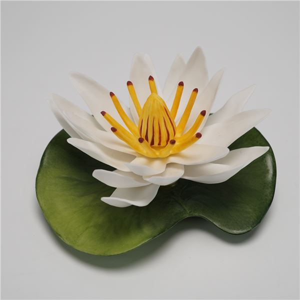 Boehm Porcelain Flower Figurine, Waterlily F358