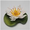 Image 1 : Boehm Porcelain Flower Figurine, Waterlily F358