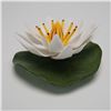 Image 2 : Boehm Porcelain Flower Figurine, Waterlily F358