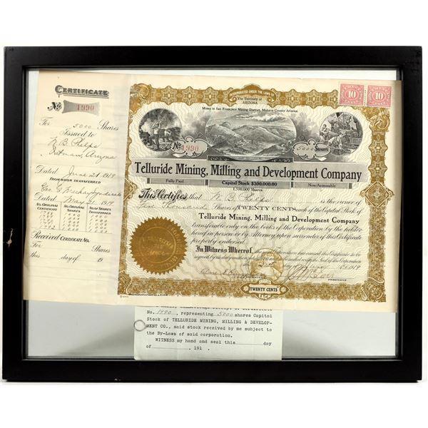 Telluride Mining, Milling and Development Company Stock Certificate 1919 [200963]