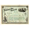 Image 1 : Tombstone Mill & Mining Co. Stock Certificate, 1884 [198029]