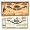Image 1 : Rare Mono County Mining Stock Pair, 1879 [204299]