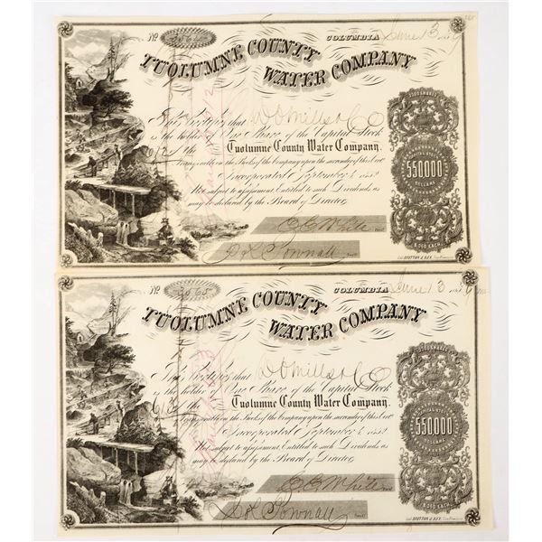 Tuolumne County Water Co. Stock Pair Issued to & Signed by DO Mills [197944]