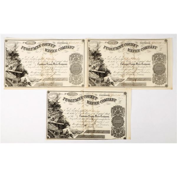 Tuolumne County Water Company Stocks Signed by DO Mills (3) [198010]