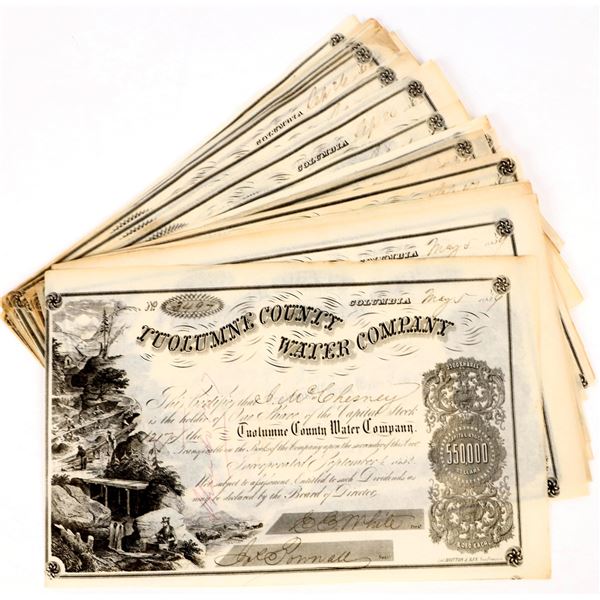 Tuolumne County Water Company Stock Archive (30) [198022]