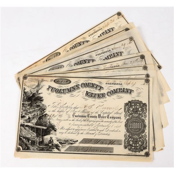 Tuolumne County Water Company Stock Certificate Group (10) [198008]