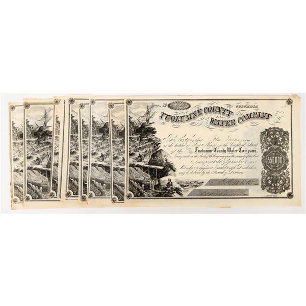 Tuolumne County Water Company Stock Certificate Group (10), Gold Rush [197969]