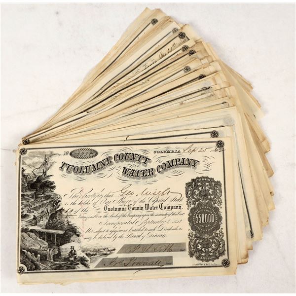 Tuolumne County Water Co. Stocks, 1850-60s (160) [205880]