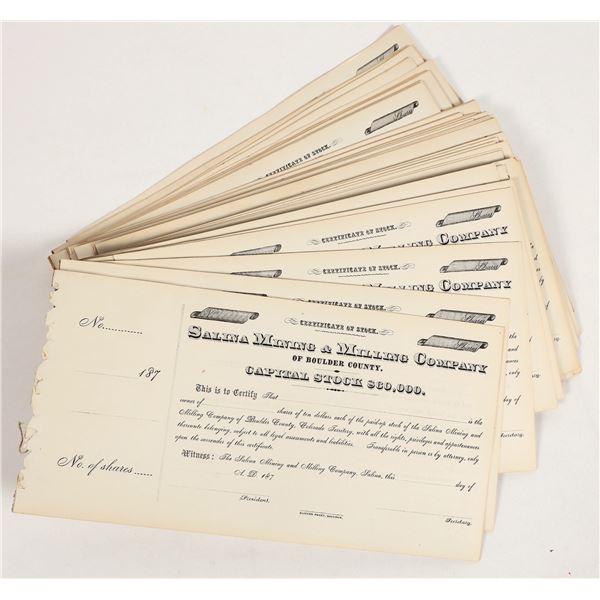 Salina Mining & Milling Company Stock (300+) [206089]