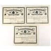 Image 1 : North Park Vandalia Mining & Smelting Co. Stock Certificates (3) [207327]