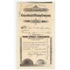 Image 1 : Warm Springs Consolidated Mining Company Stock Certificate, 1884 [204155]