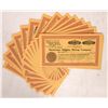 Image 1 : Manhattan Higgins Mining Stock Certificates (23) [178512]