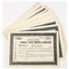Image 1 : White Caps Mining Company Stock Certificates (50) [206943]