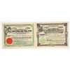 Image 1 : Rare Western U.S. Mining Stocks, 1902-1903 (2) [204228]