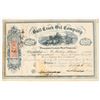 Image 1 : Bull Creek Oil Company Stock Certificate, 1864, Civil War Era [198023]