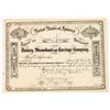 Image 1 : Rotary Steamboat & Carriage Company Stock Certificate, 1860s [198108]