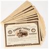Image 1 : Tarkio Valley Railroad Company Unissued Stocks (33) [203007]