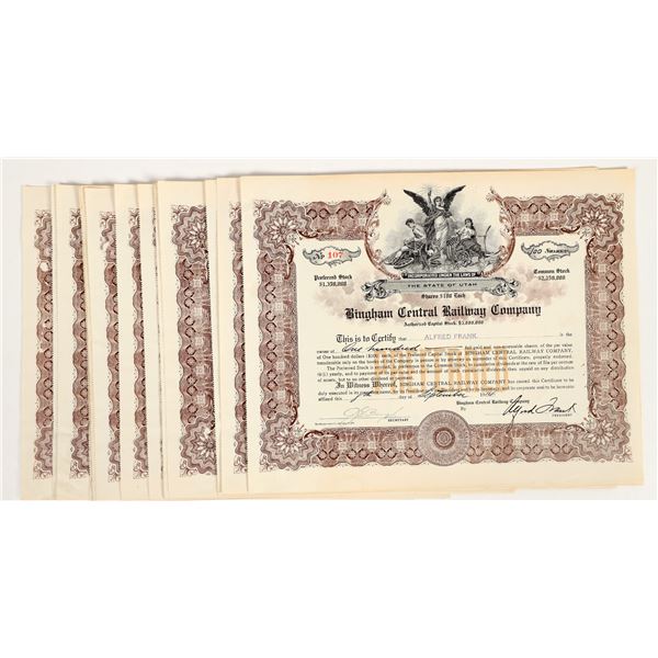 Bingham Central Railway Stocks (15) [206032]