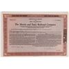 Image 1 : Morris and Essex Railroad Co Stock 1945 1 cert [176000]