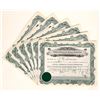 Image 1 : Elkhart Commercial Finance Stocks (5) [187658]