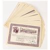 Image 1 : The Lowell Electric Light Corporation Stock Certificates (200) [205848]