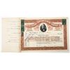 Image 1 : Edison Portland Cement Co. Stock Issued to & Signed Twice by Thomas Edison [206925]
