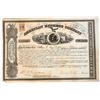 Image 1 : American Express Company Stock Signed by Wells, Fargo, & Holland, 1865 [197972]