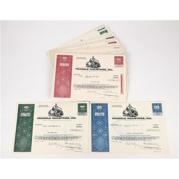 Triangle Industries, Inc. Stocks [207006]