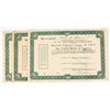 Image 1 : Second Liberty Loan of 1917 Bonds (3) [207023]