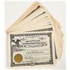 Image 1 : Stock Certificates for Consolidated Druggist Realty Company (30) [205169]