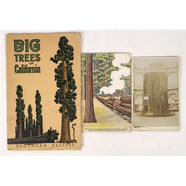 Big Trees of California! Southern Pacific Tourist pamphlet, RPPC Plus! [205440]