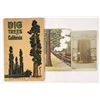 Image 1 : Big Trees of California! Southern Pacific Tourist pamphlet, RPPC Plus! [205440]