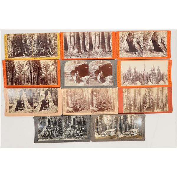 California Big Trees Stereoview Collection [204564]