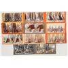 Image 1 : California Big Trees Stereoview Collection [204564]