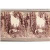 Image 2 : Yosemite, California Stereoview Collection, post-1900 [204604]