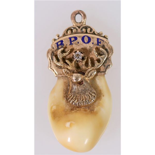 Elks Lodge Elks Tooth Gold Piece [206416]