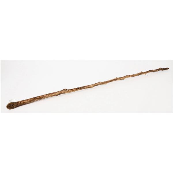 Masonic Marked Walking Cane c.1900 [207093]