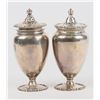 Image 1 : Fancy Matched Pair Sterling Shakers [188802]