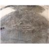 Image 4 : Tiffany  Silver Soldered EP Serving Tray,  [197408]