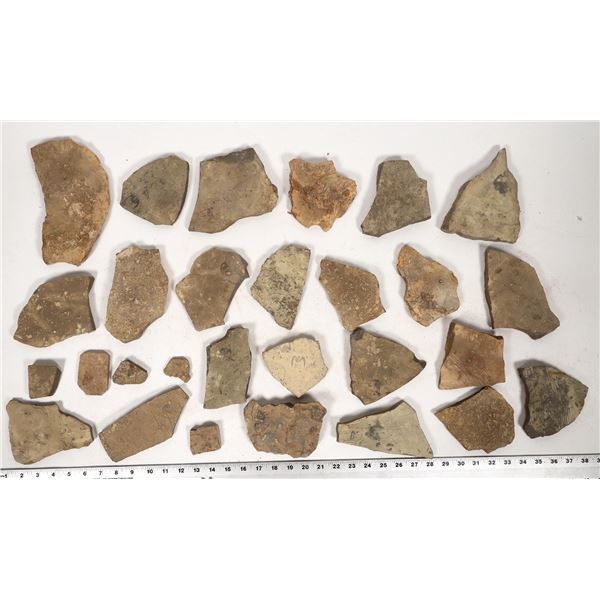 Trilobites, 20 Pounds [194608]