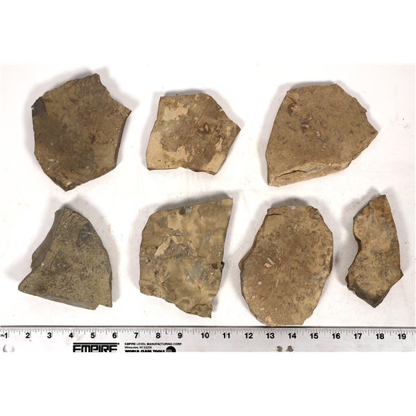 Trilobites, 6 Pounds [194175]